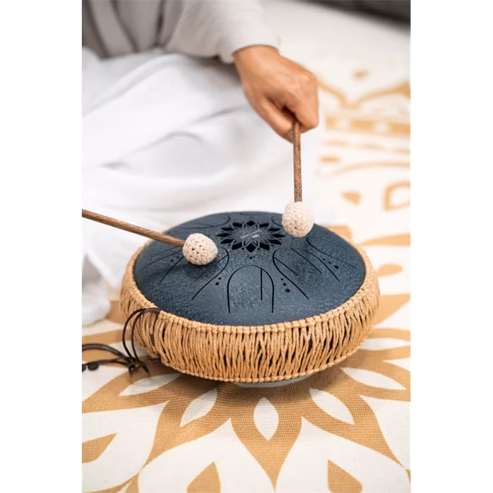 Meinl Sonic Energy 10" Octave Steel Tongue Drum C Minor - Tongue drum