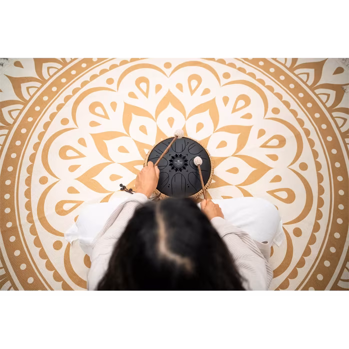 Meinl Sonic Energy 10" Octave Steel Tongue Drum B Minor - Tongue drum