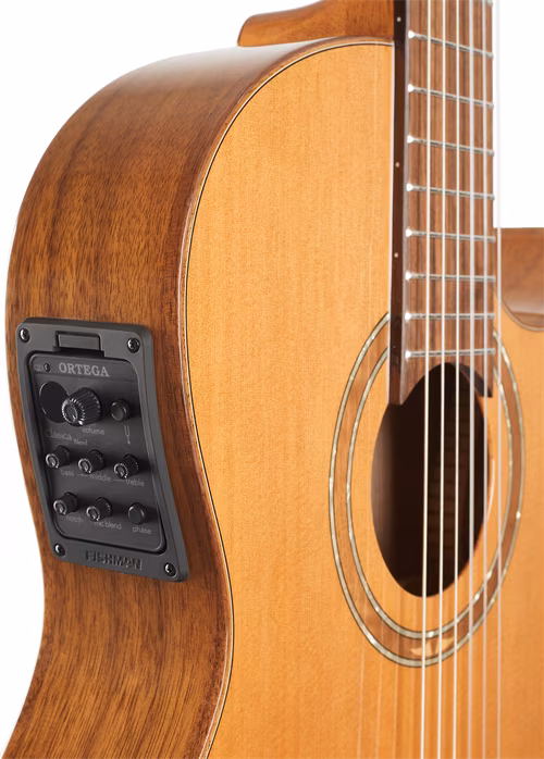 Ortega FLAMETAL-TWO - Klasická elektroakustická gitara