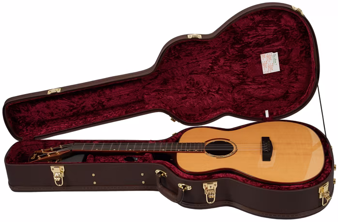 Cort Abstract Delta NAT - Elektroakustická gitara