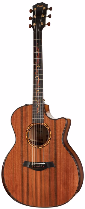 Taylor C14ce B4002 - Elektroakustická gitara