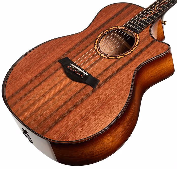 Taylor Custom C14ce B4002 - Elektroakustická gitara