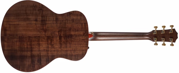 Taylor Custom C26ce B4036 - Elektroakustická gitara