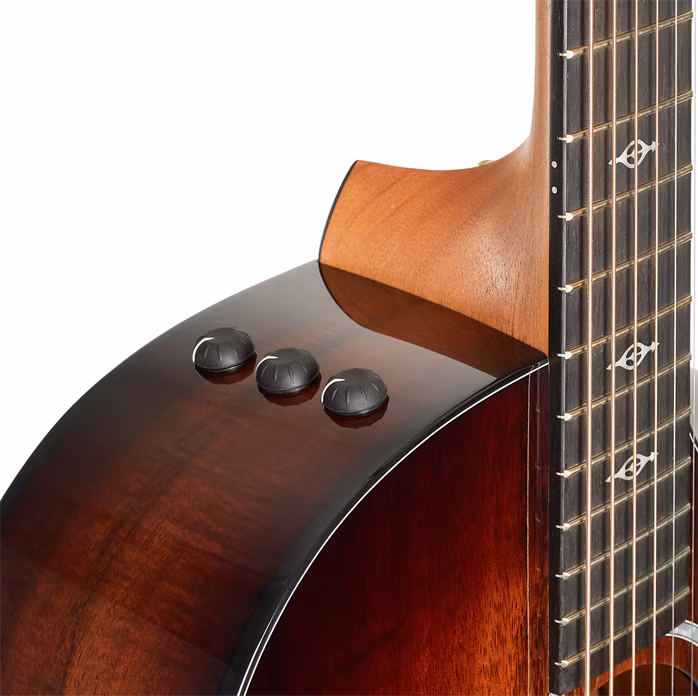 Taylor 224ce-K DLX C-Class Bracing (použité) - Elektroakustická gitara