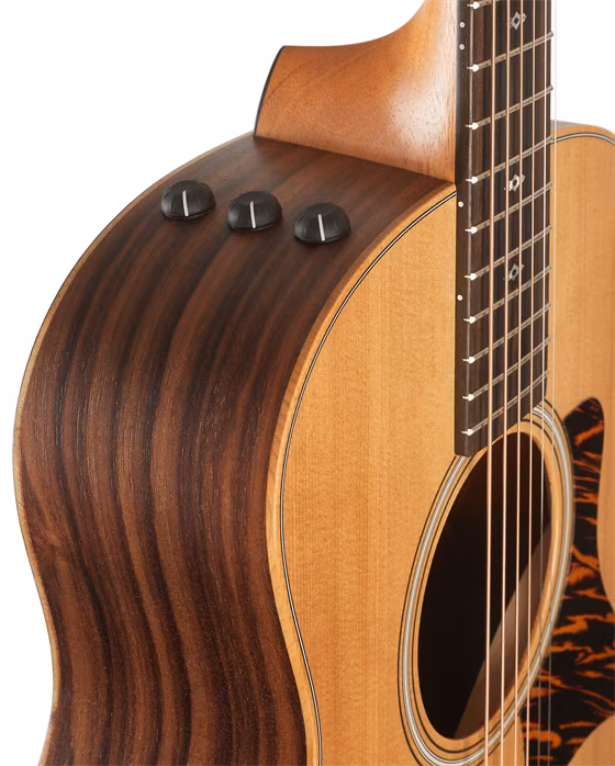 Taylor GS Mini-e Rosewood LTD Nat Top 50th Anniversary - Elektroakustická gitara