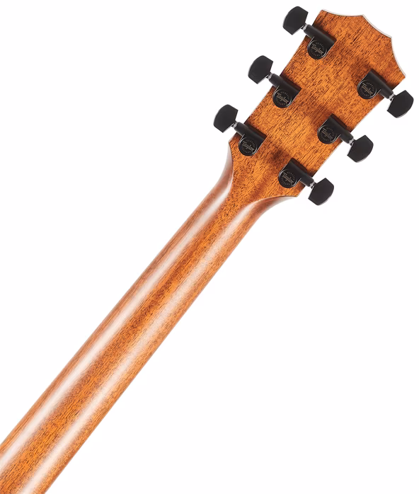 Taylor 324ce - Elektroakustická gitara