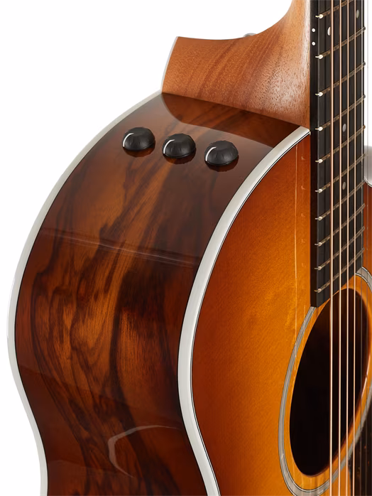Taylor 214ce Plus Special Ziricote - Elektroakustická gitara