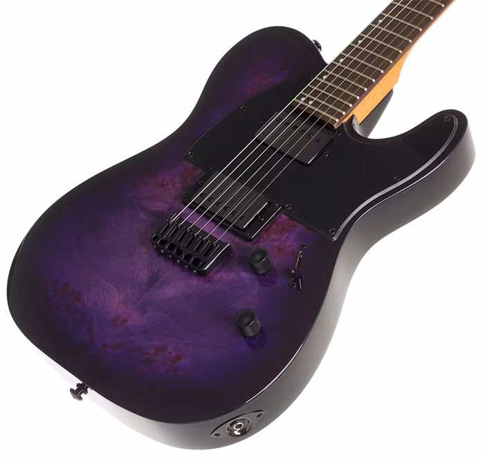 ESP LTD TE-200DX PURPLE BURST - Elektrická gitara
