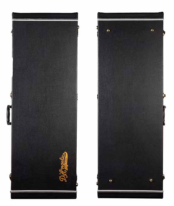 D'Angelico Deluxe Brighton Black - Elektrická gitara