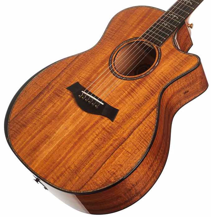 Taylor 924ce-K 50th Anniversary + Circa 74 amp Limited Edition - Akustická gitara set