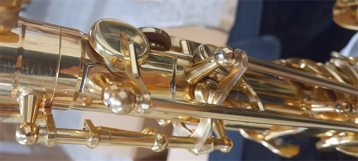 Bacio Instruments BTS-100 (použité) - Saxofón