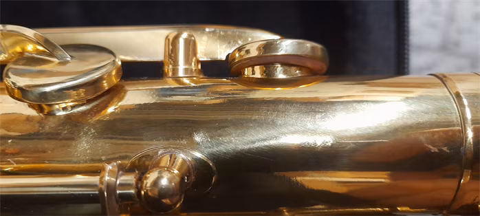 Bacio Instruments BTS-100 (použité) - Saxofón