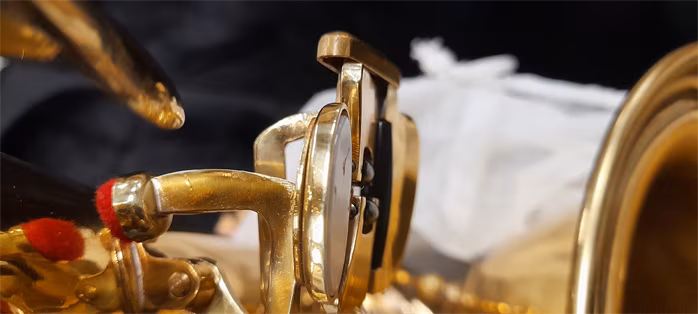 Bacio Instruments BTS-100 (použité) - Saxofón