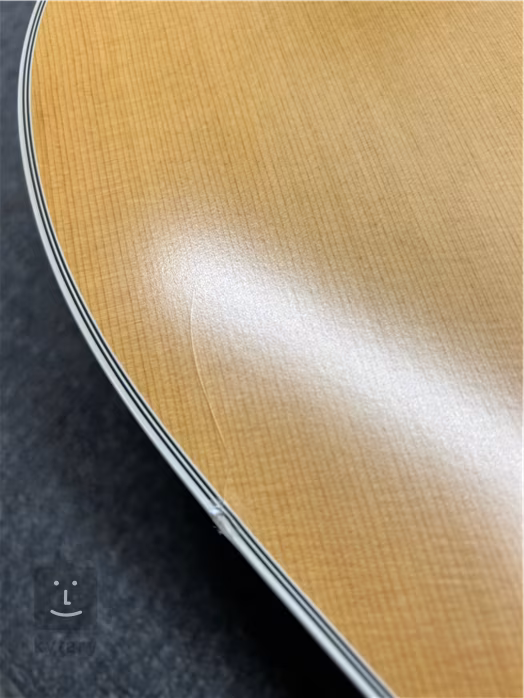 Cort Earth200F ATV SG (poškodené) - Elektroakustická gitara