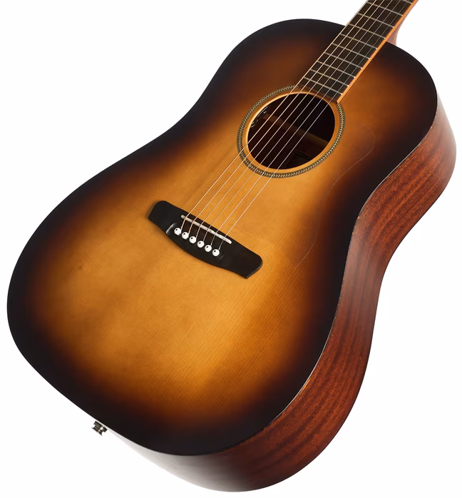 Dowina Pinot RSDE-SB - Elektroakustická gitara