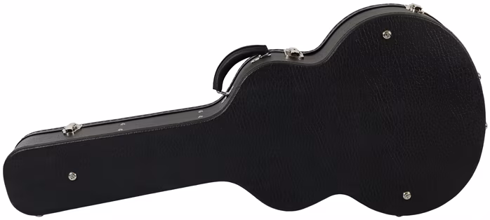 Eastman AR610 - Akustická gitara