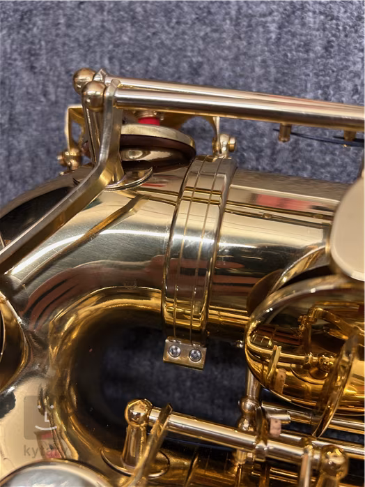 Bacio Instruments BTS-100 (použité) - Saxofón