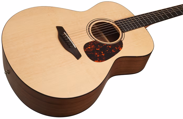 Furch Blue G-SW L.R. Baggs EAS-VTC - Elektroakustická gitara