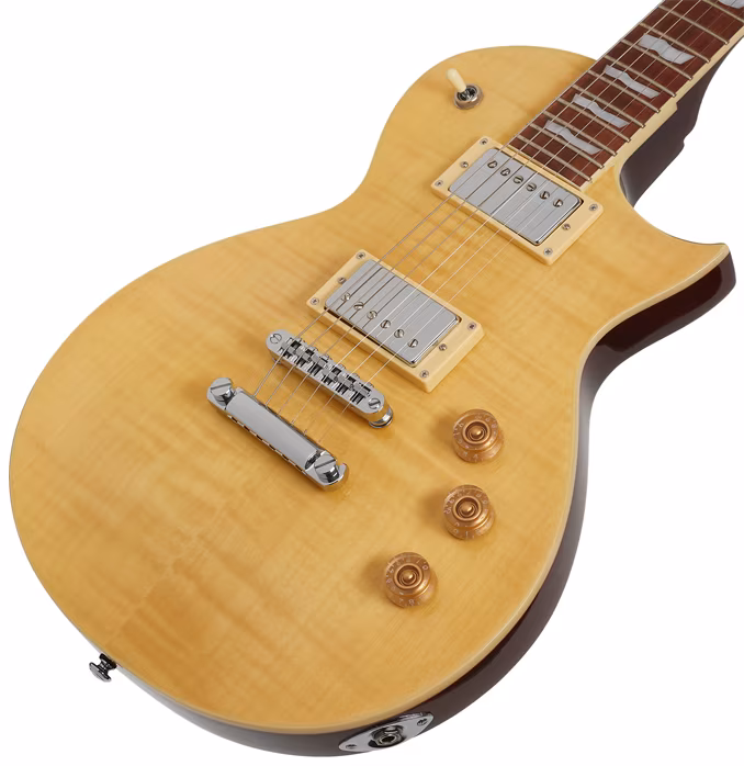 ESP LTD EC-256 VN - Elektrická gitara