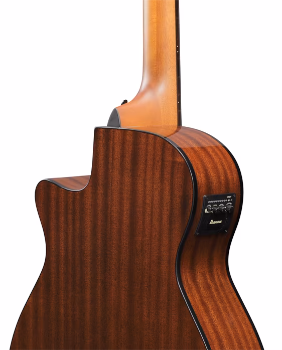 Ibanez AEGB25E Transparent Black - Elektroakustická basgitara