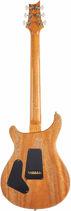 PRS Custom 24 Aurora Borealis - Elektrická gitara