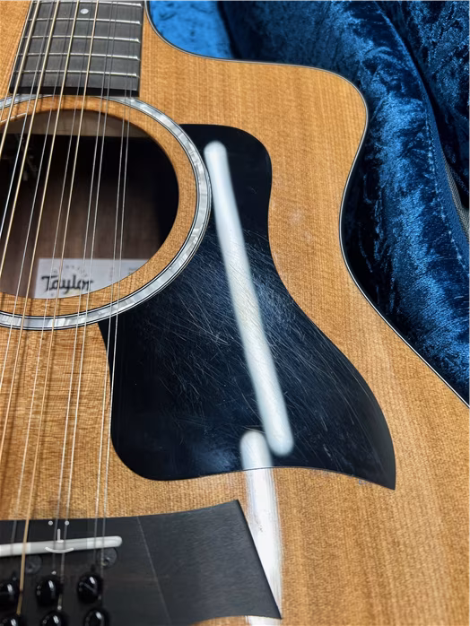 Taylor 254ce Plus (použité) - Dvanásťstrunová elektroakustická gitara
