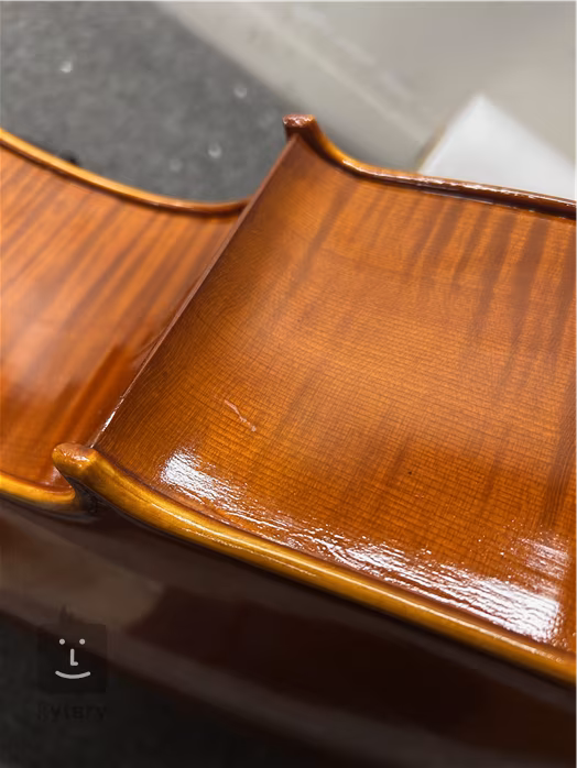 Bacio Instruments Professional Cello (AC300) 4/4 (poškodené) - Violončelo