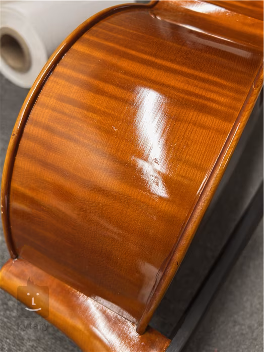 Bacio Instruments Professional Cello (AC300) 4/4 (poškodené) - Violončelo