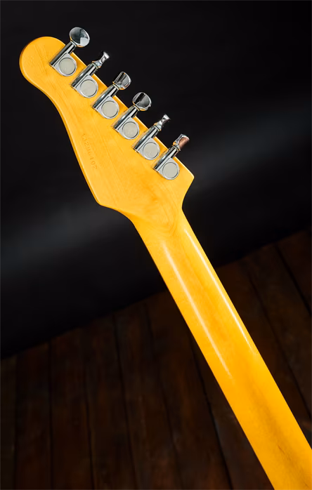 Godin 2013 Session Custom BK - Elektrická gitara