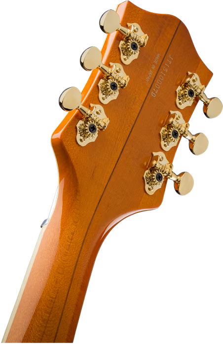 Gretsch G6120T-55 Vintage Select '55 Chet Atkins Bigsby VOR - Semiakustická gitara