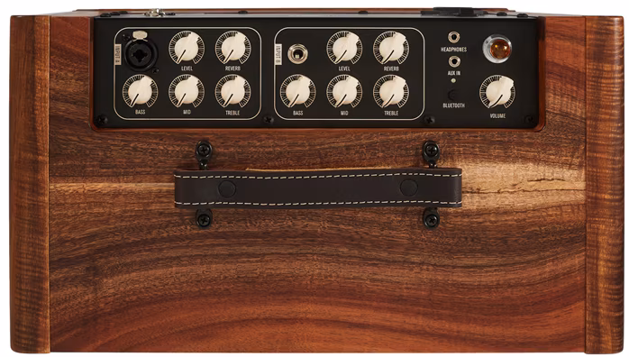 Taylor 924ce-K 50th Anniversary + Circa 74 amp Limited Edition - Akustická gitara set