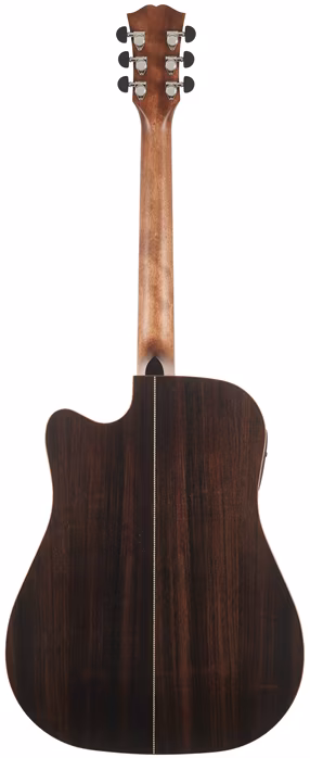 Dowina Danubius DCE StagePro - Elektroakustická gitara