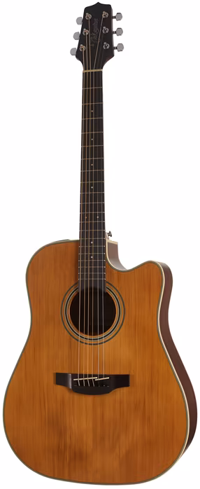 Takamine GD20CE-NS - Elektroakustická gitara