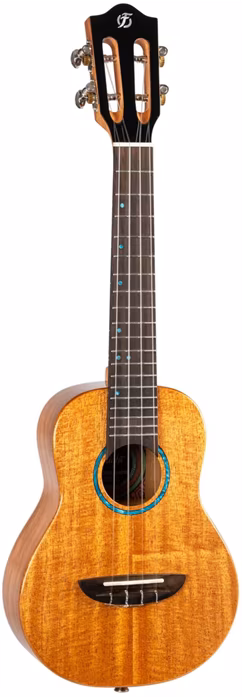 Flight IRIS TINTA CONCERT NA - Akustické ukulele