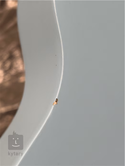 Ucoolele UC-002-BL (poškodené) - Akustické ukulele