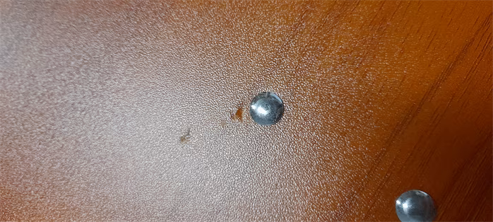 Soundsation SWMS-100 + BAG (poškodené) - Notový stojan