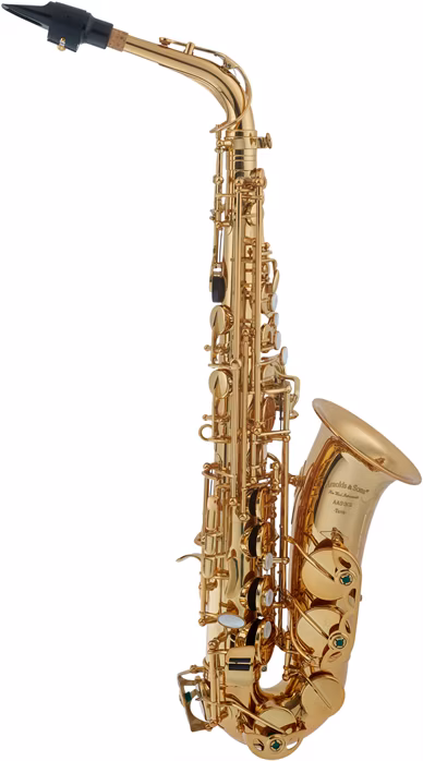 Arnolds & Sons AAS-301 Terra - Saxofón