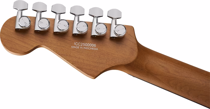 Charvel Pro-Mod Plus DK24 HH 2PT EB EBY RVEN BLACK - Elektrická gitara