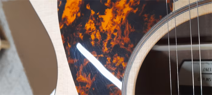 Furch Blue G-SW 12 CNR Active (použité) - Dvanásťstrunová akustická gitara