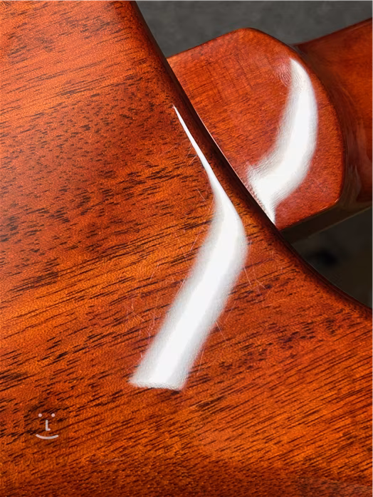 PRS SE Custom 24 Semi-Hollow Piezo Vintage Sunburst (použité) - Semiakustická gitara