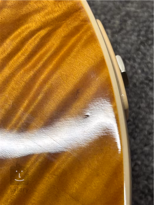 Gibson Slash Les Paul Appetite Burst (použité) - Elektrická gitara