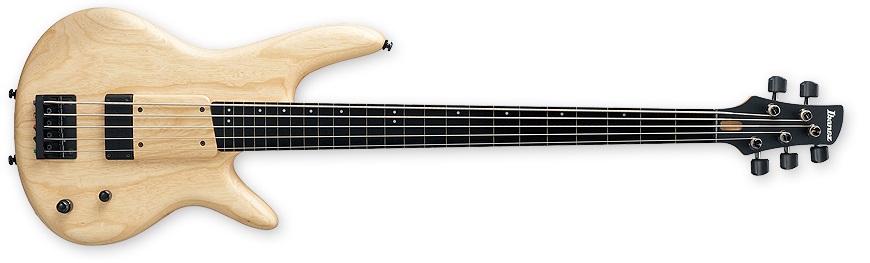 Obrázok Ibanez GWB 1005 NTF