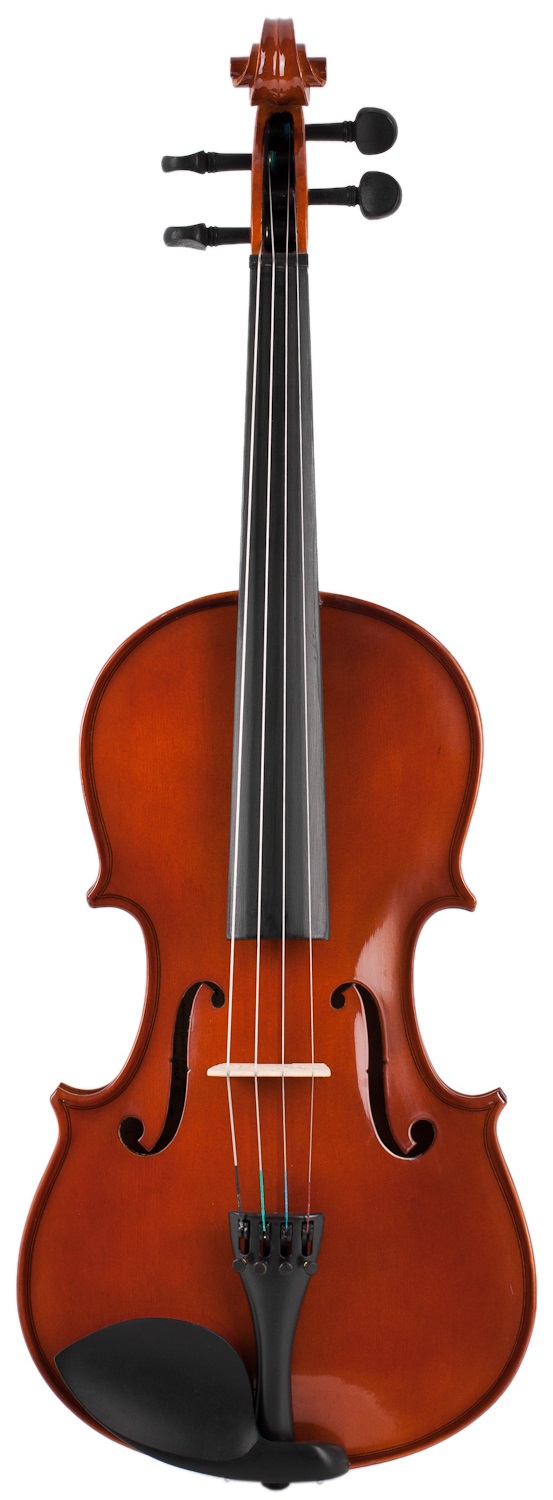 Obrázok Soundsation Viola VS - 15,5