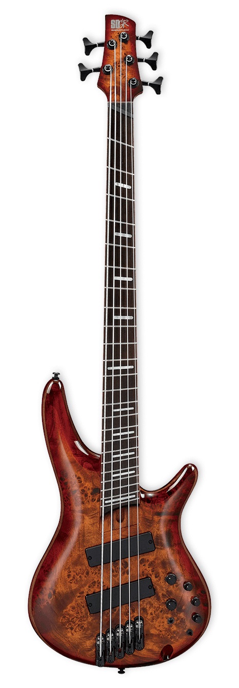 Obrázok Ibanez SRMS805 Brown Topaz Burst