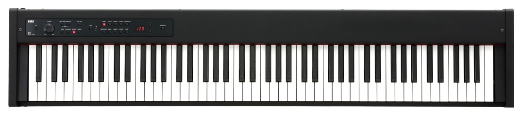 Obrázok Korg D1