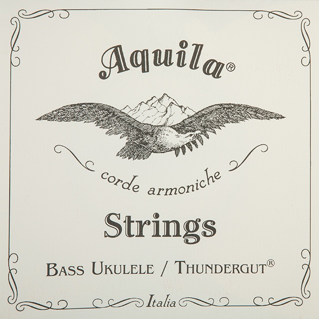 Obrázok Aquila Thundergut Bass Ukulele Set 4 string