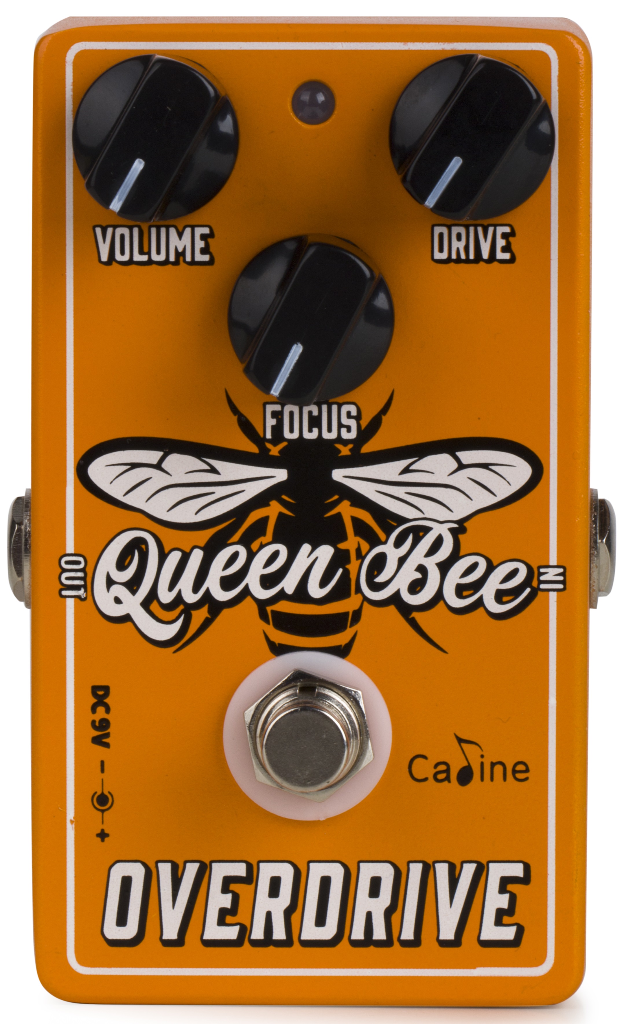 Obrázok Caline QUEEN BEE OVERDRIVE