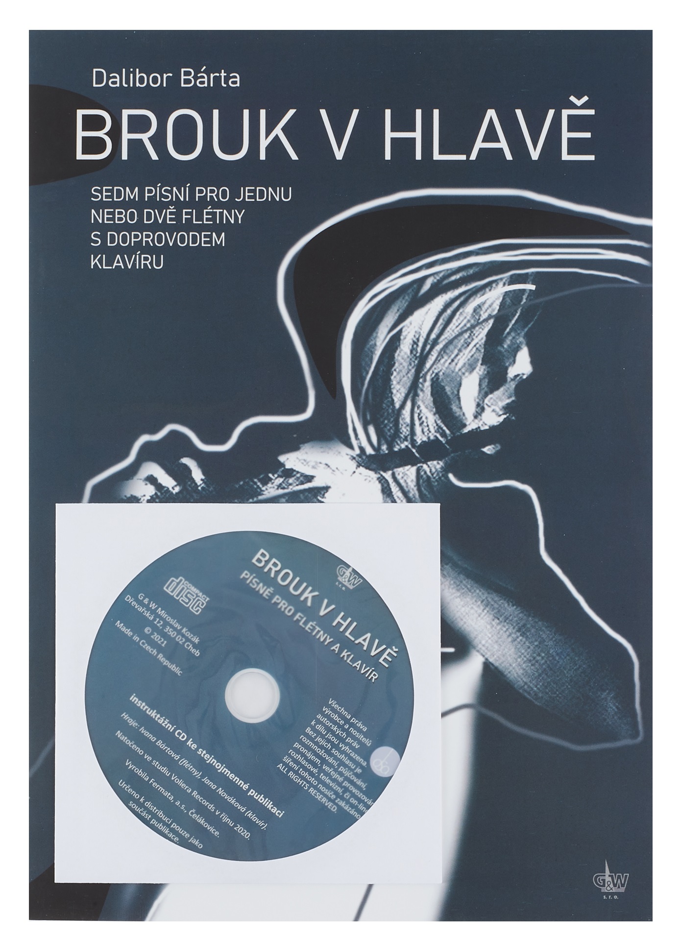 Obrázok Brouk v hlavě + CD