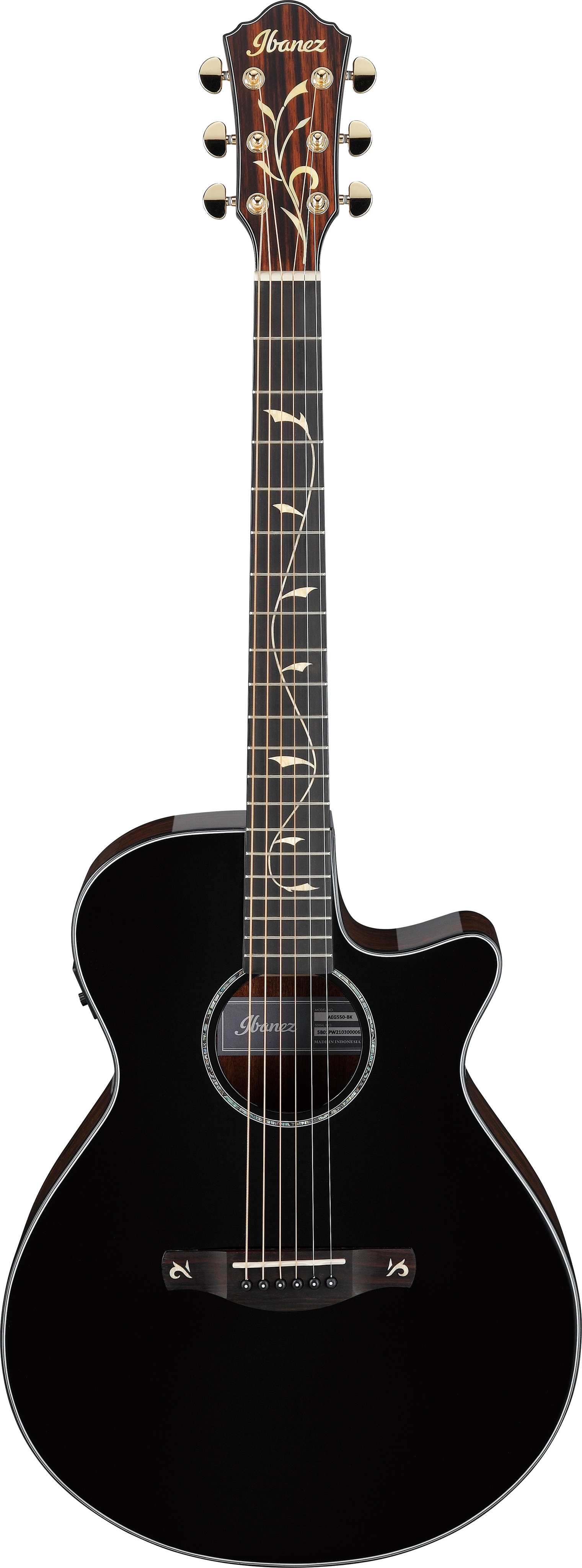 Obrázok Ibanez AEG550-BK