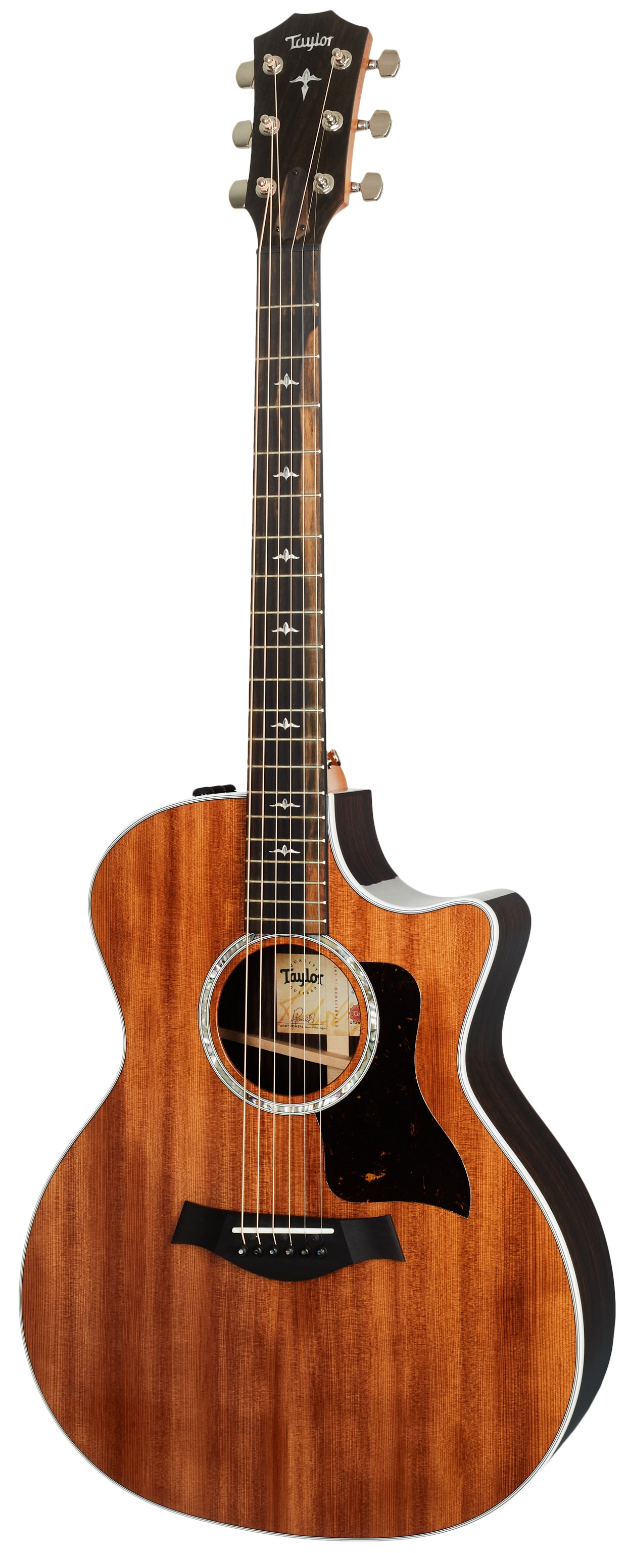 Obrázok Taylor 414ce LTD